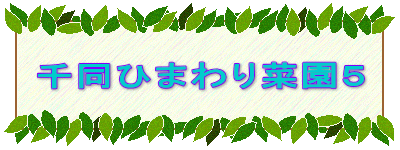 瓯Ђ܂؉T