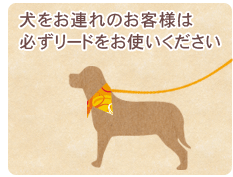 ゴミの持ち帰りにご協力ください