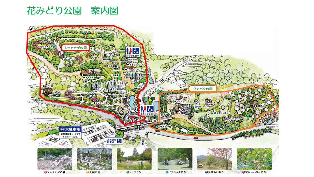 園内案内図 園内案内図