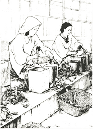 昭和24年当時のかき打ちの様子(Cahn,1950より)