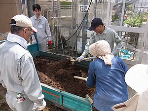 苗床土作り