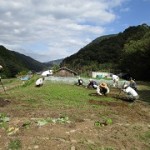 IMG_0404