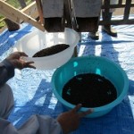 IMG_0569