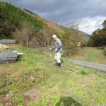 IMG_0611