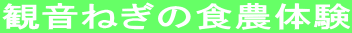 ω˂̐H_̌