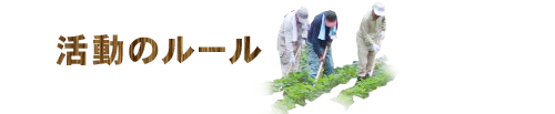 活動のルール